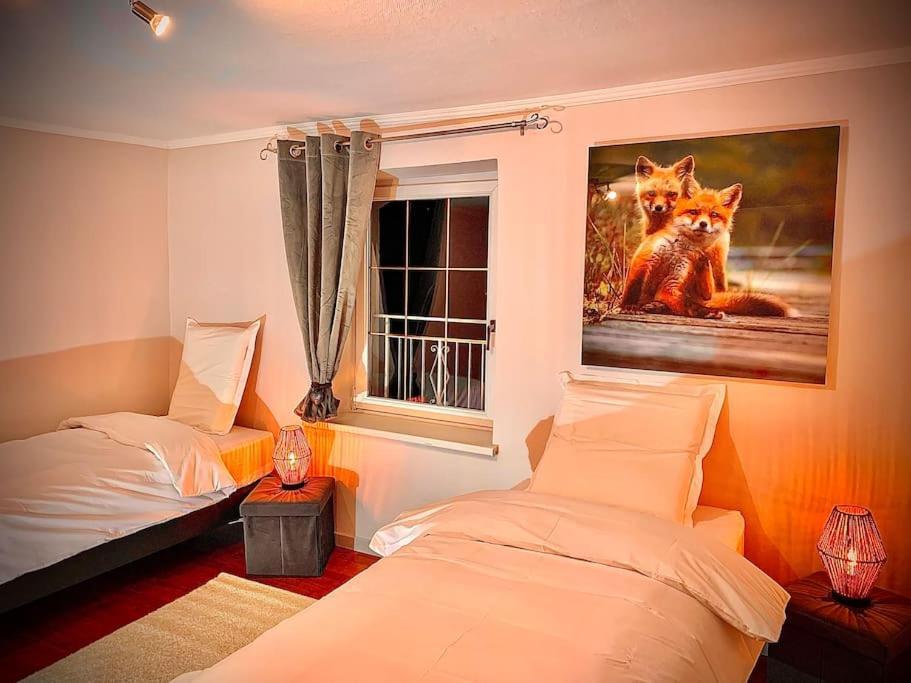 Apartament Le Terrier Du Katz Dabo Zewnętrze zdjęcie